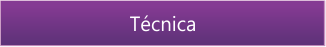 T&eacute;cnica